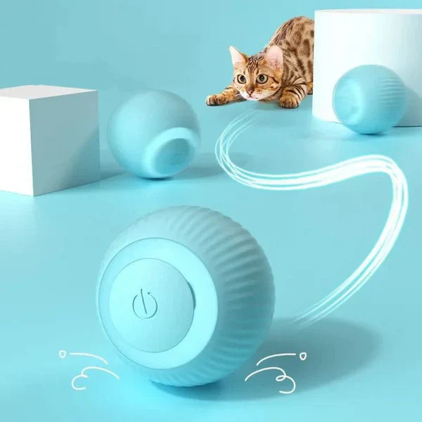 Meow Magic Play Ball