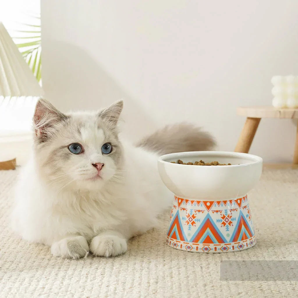 Ceramic Bowl for cat