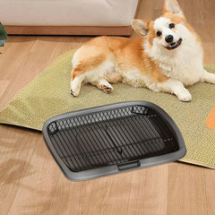 Pet Dog Toilet Pet Supplies Keep Paws Floors Clean