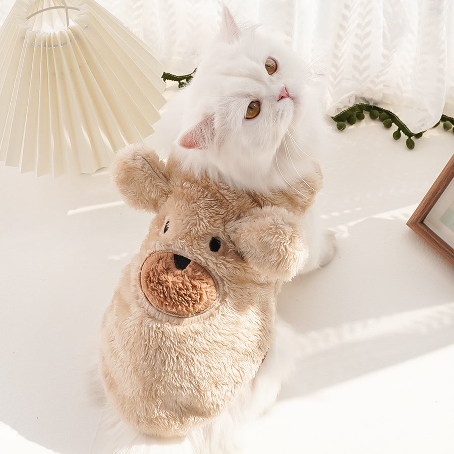 Clothes For Cats - PP16